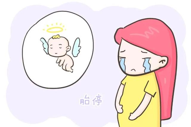 如果试管成功后,胚胎停止发育怎么办? 如果试管成功后,胚胎停止发育怎么办?