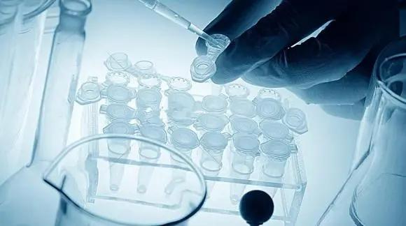 试管婴儿双胞胎几率 试管婴儿双胞胎几率