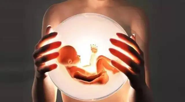 AMH值你是多少?移植后的饮食需注意? AMH值你是多少?移植后的饮食需注意?