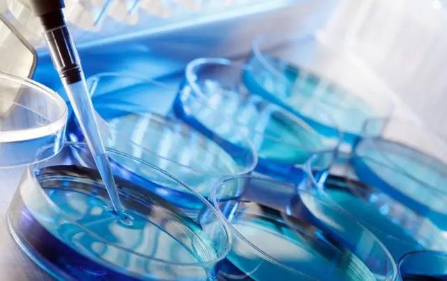 试管助孕患者居家注意事项 试管助孕患者居家注意事项