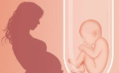 试管婴儿中HCG、孕酮和流产之间的关系