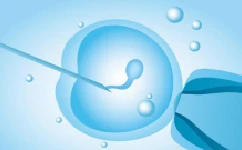 人工授精和试管婴儿有什么区别？
