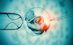 试管婴儿移植冷冻胚胎的好处有哪些？