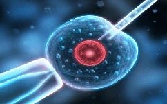 胚胎移植前后要注意什么？生殖医生给出这6条建议