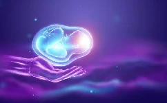 怎样才能让胚胎成功着床？