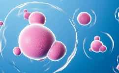 试管婴儿取卵后多久可以移植胚胎？
