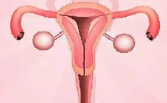 宫颈性不孕的病因有哪些？