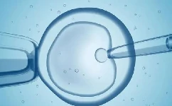 耗费心血移植质量好的胚胎，结果还是失败了，到底是哪里有问题？