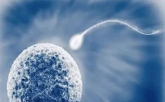 精子质量低能做试管婴儿吗？怎么申请精子试管婴儿？
