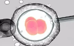 “试管婴儿”冻胚移植的三种方案