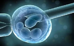 试管婴儿胚胎移植后应该注意什么？