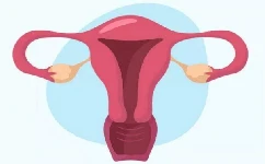 多囊卵巢综合征可以做泰国试管婴儿吗？