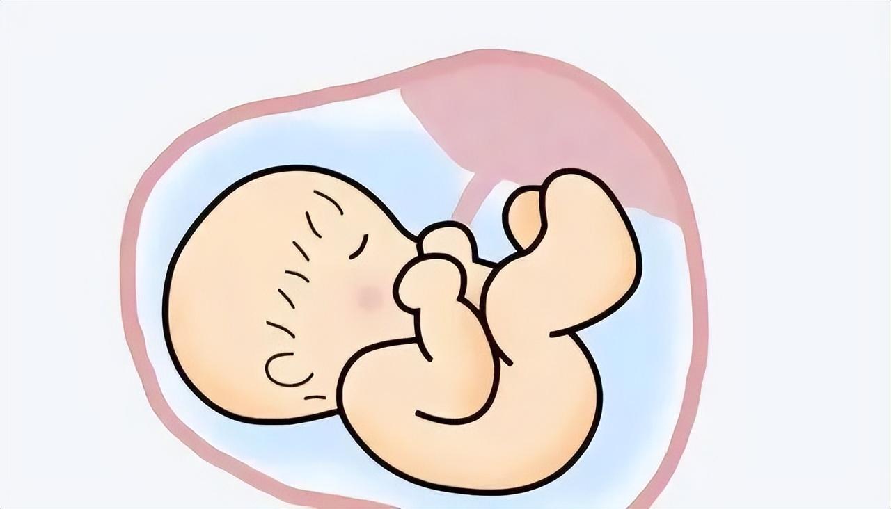 女性做试管也有次数限制,若这个数还未成功是否考虑放弃? 女性做试管也有次数限制,若这个数还未成功是否考虑放弃?