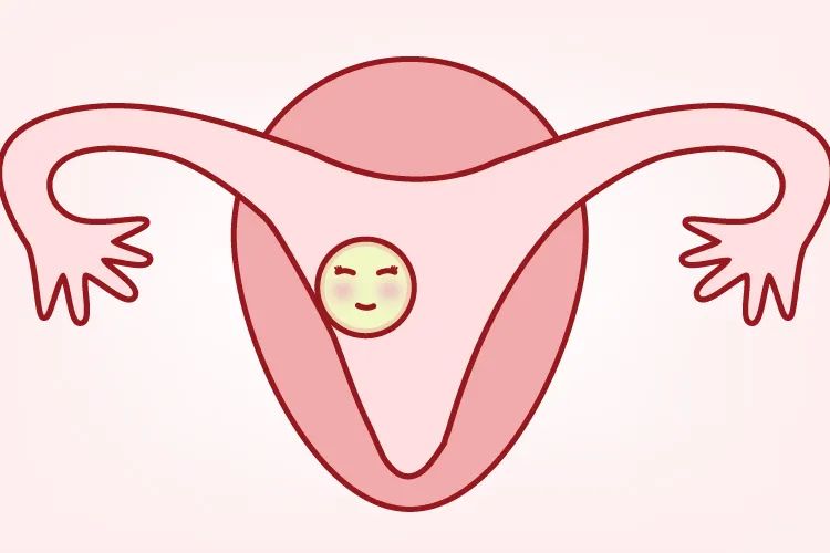 做人工授精,夫妻双方要做哪些准备? 做人工授精,夫妻双方要做哪些准备?