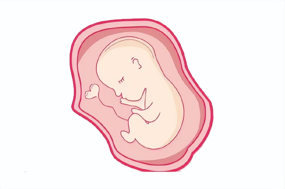 自测排卵期：排卵期身体会有什么变化？