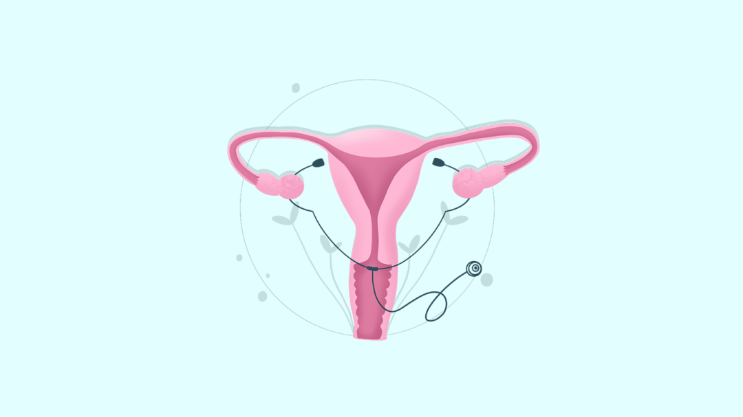 了解雌二醇，它对试管婴儿有何影响？