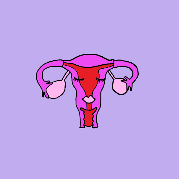 女性做试管也有次数限制,若这个数还未成功是否考虑放弃? 女性做试管也有次数限制,若这个数还未成功是否考虑放弃?