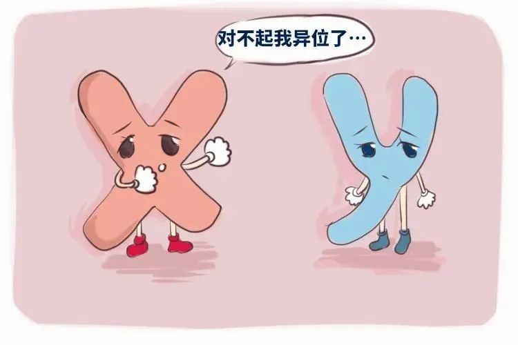 染色体平衡易位怎么办? 染色体平衡易位怎么办?