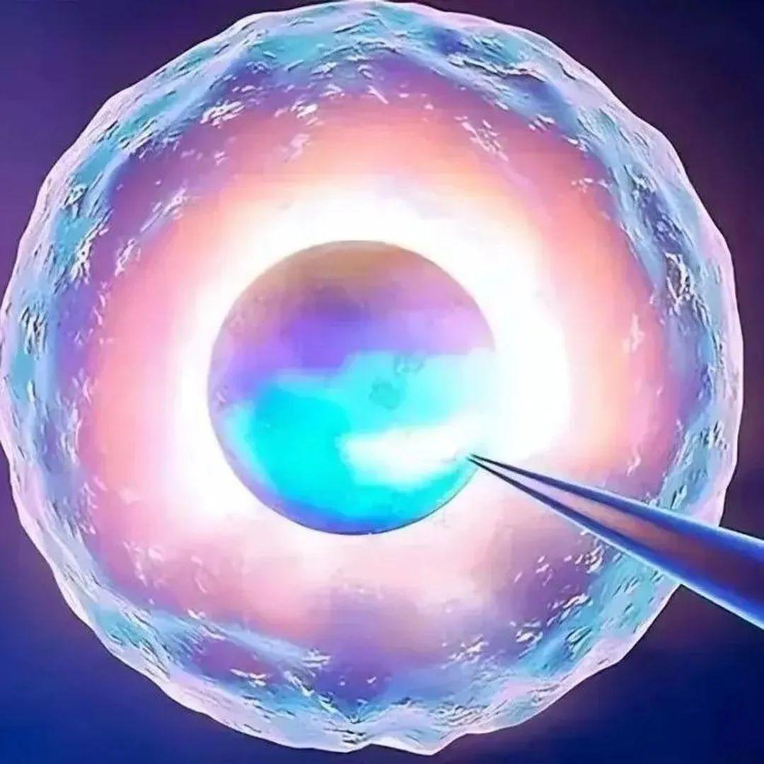 什么是促黄体激素LH,为什么做试管婴儿要查LH? 什么是促黄体激素LH,为什么做试管婴儿要查LH?