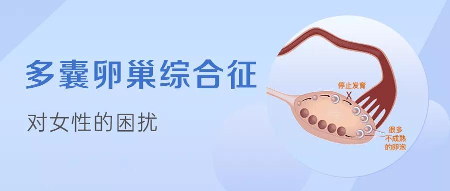 多囊卵巢综合征为何不易怀孕? 多囊卵巢综合征为何不易怀孕?