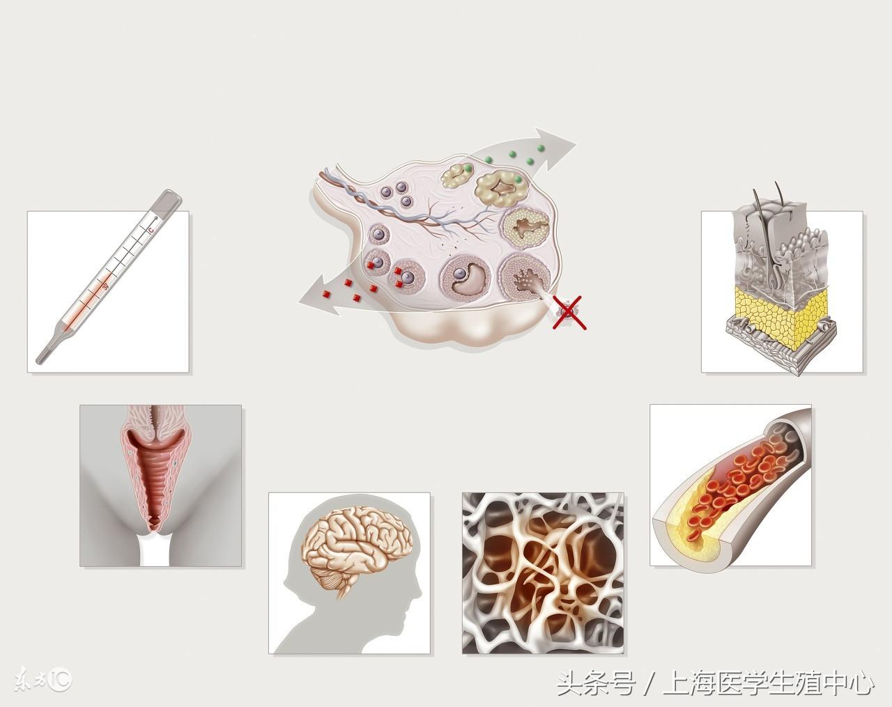 什么是试管婴儿诱导排卵? 什么是试管婴儿诱导排卵?