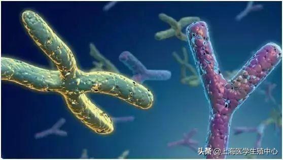 这6种人群做试管婴儿,赶紧做染色体检查! 这6种人群做试管婴儿,赶紧做染色体检查!