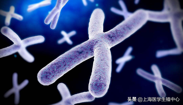 这6种人群做试管婴儿,赶紧做染色体检查! 这6种人群做试管婴儿,赶紧做染色体检查!