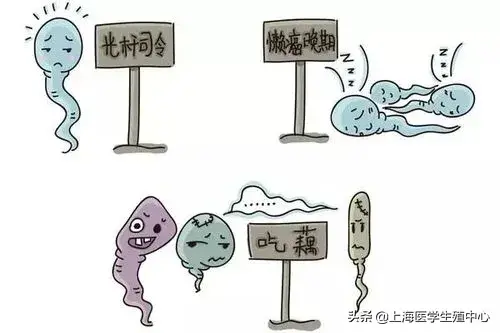 精子成活率达到多少才能生育? 精子成活率达到多少才能生育?