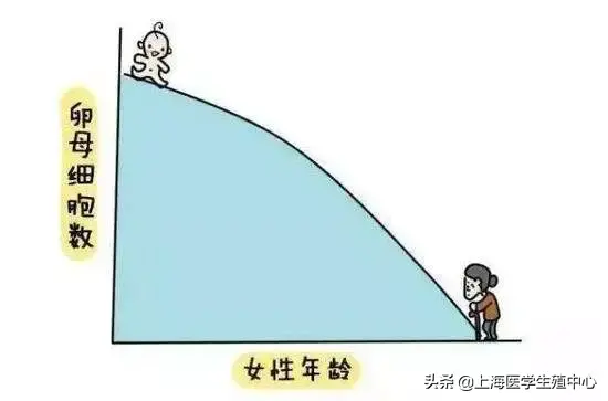 三个检查卵巢功能的方法! 三个检查卵巢功能的方法!