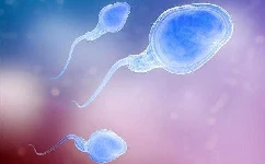 染色体异常会影响精子的质量吗?