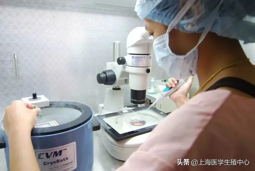 辅助生殖技术中精液是怎么优化的? 辅助生殖技术中精液是怎么优化的?