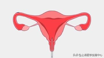 试管婴儿的步骤、预算和时间管理