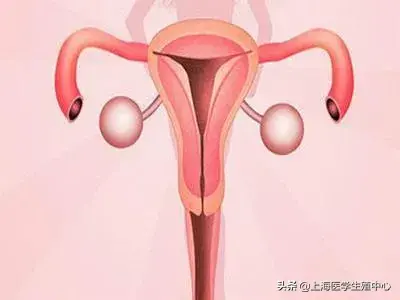 单角子宫能怀孕吗? 单角子宫能怀孕吗?