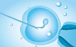 单精子注射技术的适应症与优点