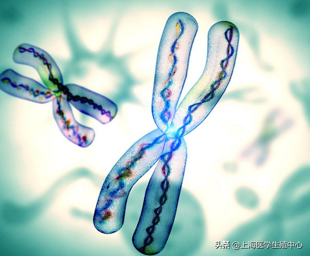 这6种人群做试管婴儿,赶紧做染色体检查! 这6种人群做试管婴儿,赶紧做染色体检查!