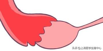 试管婴儿的步骤、预算和时间管理