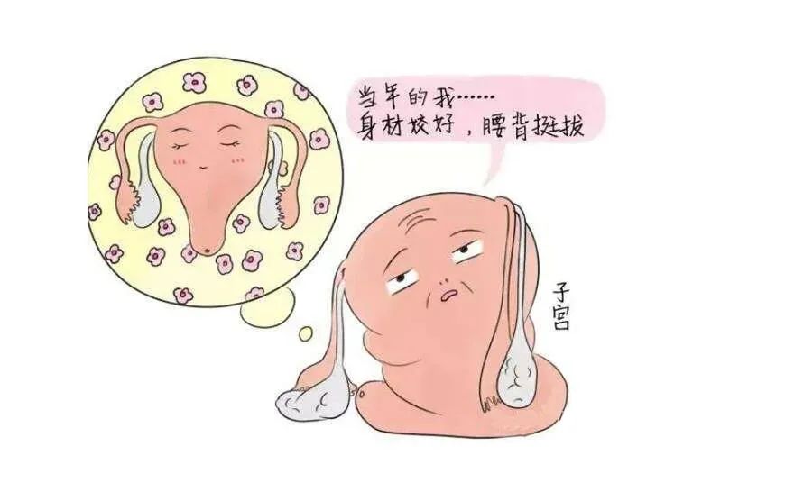 卵巢功能下降了还能生孩子吗 卵巢功能下降了还能生孩子吗