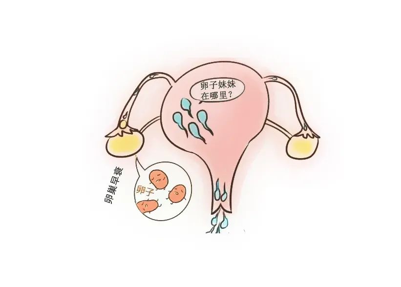 卵巢功能下降了还能生孩子吗 卵巢功能下降了还能生孩子吗