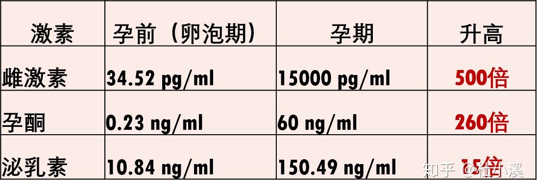 女性在怀孕后身体会发生什么变化? 女性在怀孕后身体会发生什么变化?