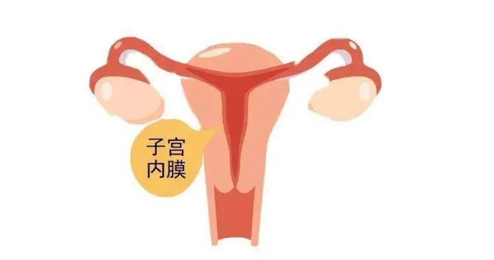 子宫内膜厚度多少才能怀孕？