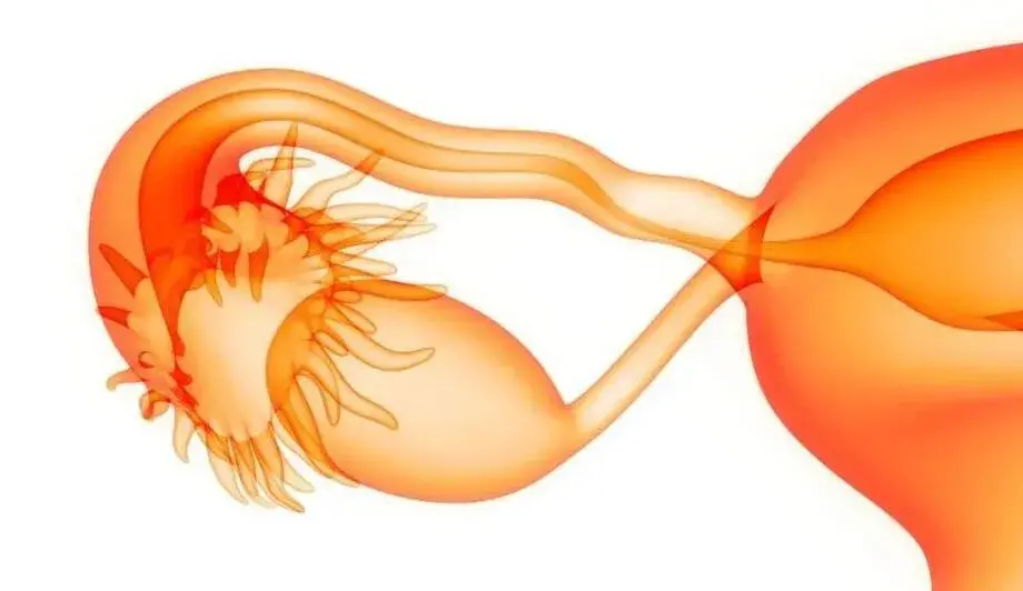 化验单中的AMH是什么意思?卵巢AMH低能恢复吗? 化验单中的AMH是什么意思?卵巢AMH低能恢复吗?