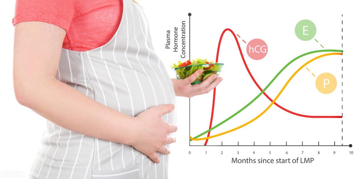 怀孕后,为什么要查HCG和孕酮? 怀孕后,为什么要查HCG和孕酮?