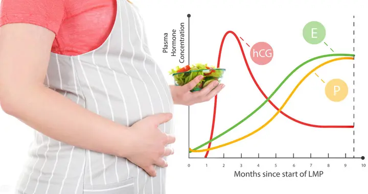 怀孕后，为什么要查HCG和孕酮？
