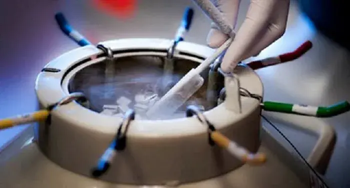 女性生育力保存，可别老盯着冻卵