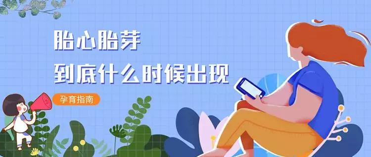 胎心胎芽,什么时候会出现? 胎心胎芽,什么时候会出现?