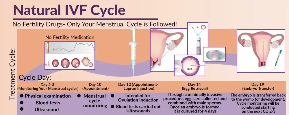 各有绝技——快评你们常用的4种促排卵方案