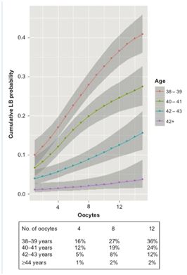 高龄试管婴儿取得多少卵子合适? 高龄试管婴儿取得多少卵子合适?