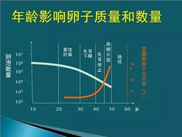 卵巢功能好不好？这3个指标很重要