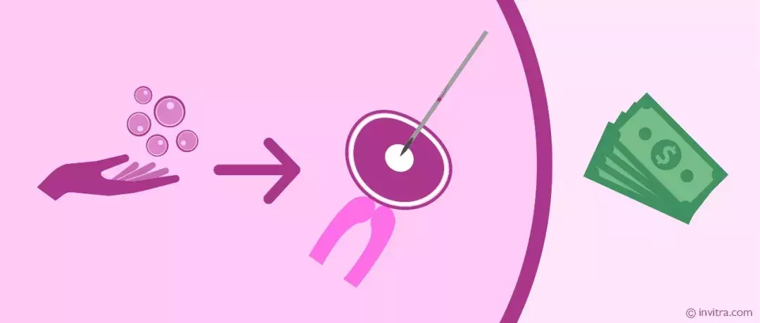 从试管婴儿的各个环节解读,所谓的痛苦点在哪里? 从试管婴儿的各个环节解读,所谓的痛苦点在哪里?