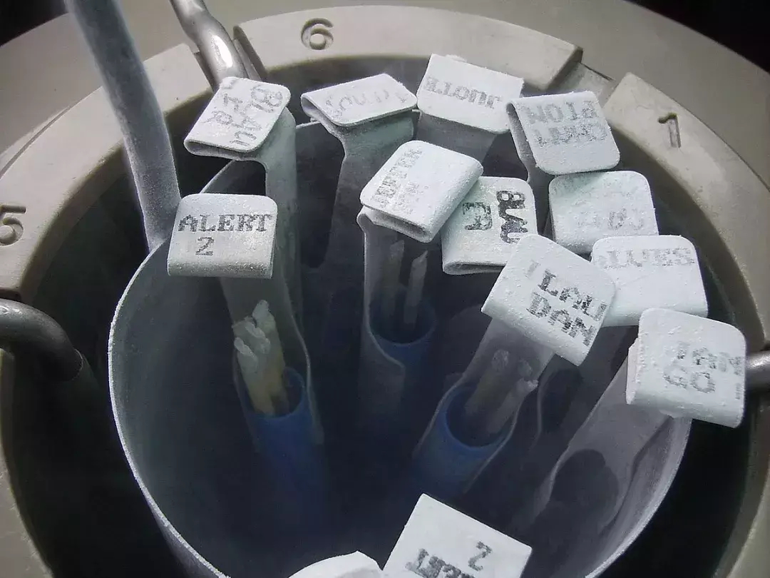 做试管婴儿,医生凭什么还要我签授权委托书? 做试管婴儿,医生凭什么还要我签授权委托书?